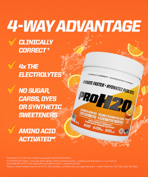 PVL PROH2O Electrolyte Mix