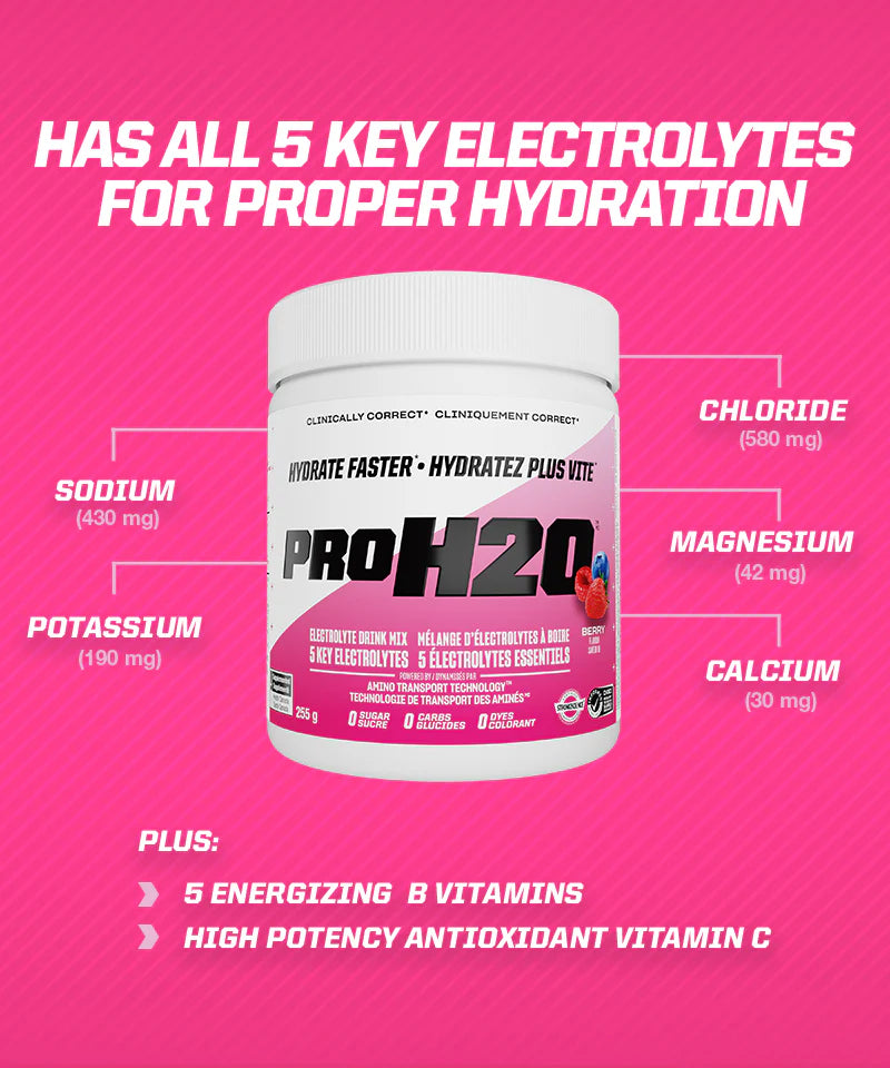 PVL PROH2O Electrolyte Mix