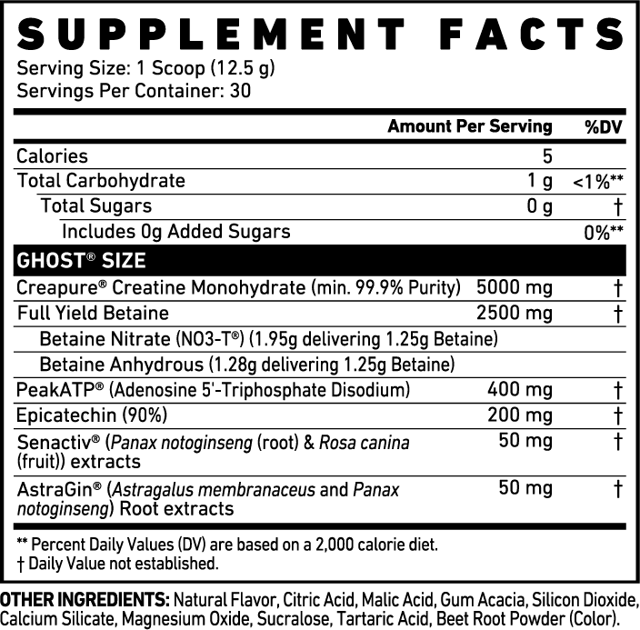 Ghost Size V3 Creatine