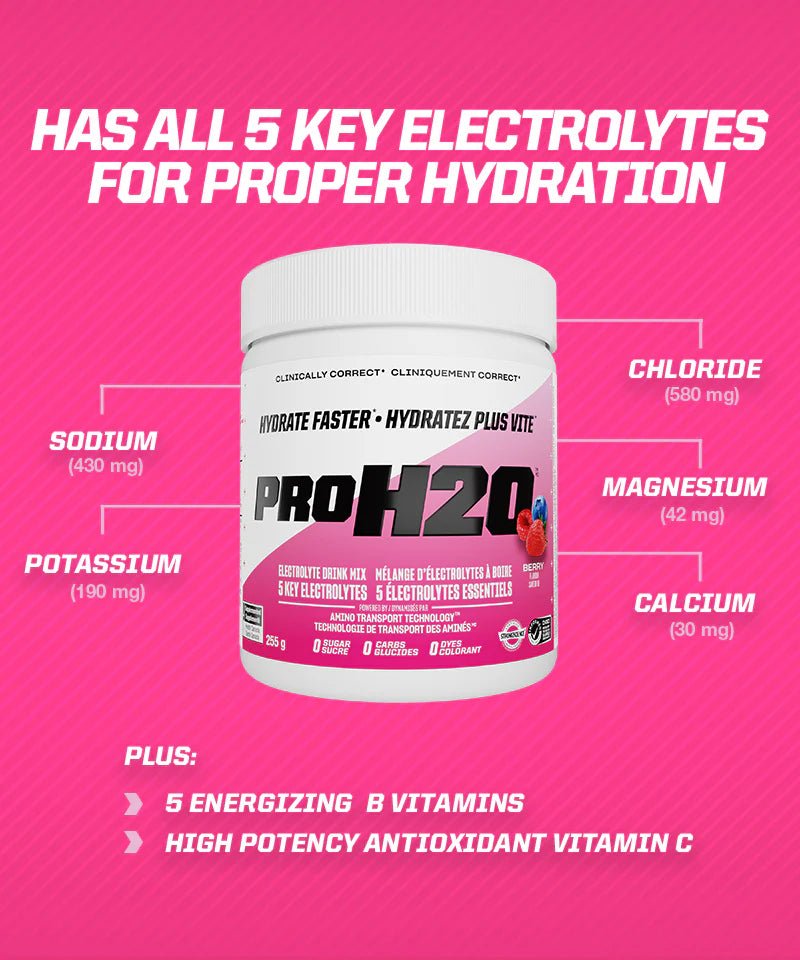PVL PROH2O Electrolyte Mix