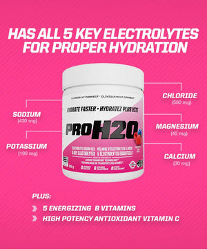 PVL PROH2O Electrolyte Mix